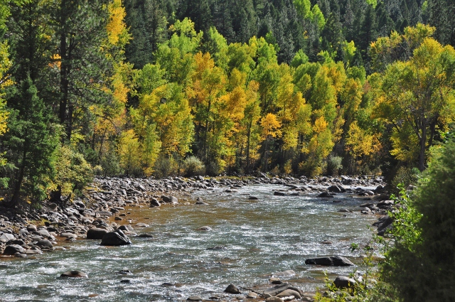 the scenery along the Animas River